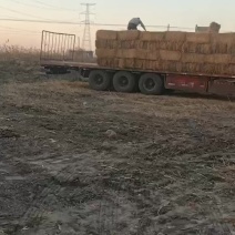 整根防沙治土稻草细柔打包稻壳牛羊饲料