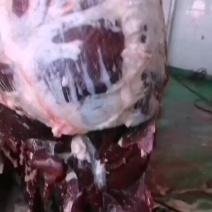 牦牛肉