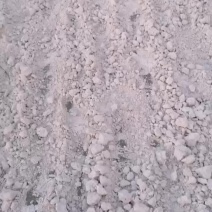 纯红薯淀粉