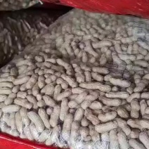 四粒红精选果