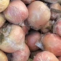 红富士个大色红翠舔