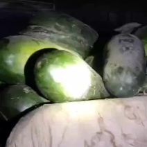 【优质】黑皮冬瓜大量上市了，价格美丽，一手货源，量大从优