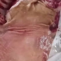 带皮羊肉