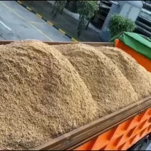 厂家直销新鲜啤酒糟广东福建湖南江西浙江湖北等多地发货