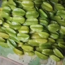 热带水果杨桃