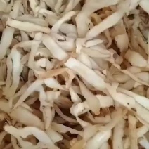 湖南邵东玉竹无硫特选大长片包含量包过检批零量大价格有优势