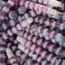 主要经营，黑皮水果甘蔗种苗，黄金水果甘蔗种苗，青皮水果甘