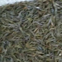 糠虾鲜活，虾米，高成活率，大湖虾