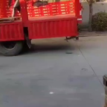 凉茶