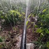 喷水带多孔喷灌带水量充足覆盖宽雾化好双层覆膜