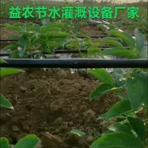 农用滴灌管农用滴灌带厂家滴水滴管膜下滴灌带农用滴灌管