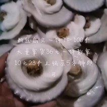 粉丝扇贝一件100个每件7斤