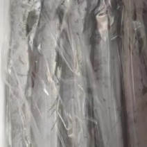 七斤重的大红盒