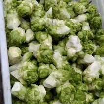 儿菜