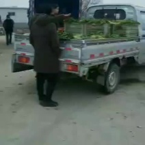 需要的请与我联系