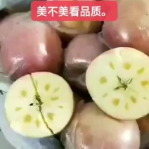 陕西礼泉膜袋，纸夹膜纸袋红富士苹果，冷库货大量现货