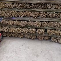 三米的实心木竹