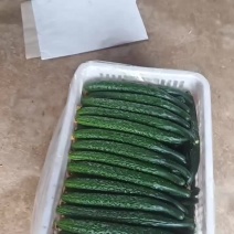 大荔密刺黄瓜，每天现摘干花带刺，需要的可以致电。可供电商