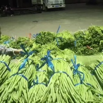 合浦长豆角.货源充足.质量保证.欢迎老板常来收购