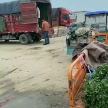 需要的请与我联系
