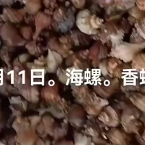 尖螺。香螺。