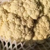 有机花菜，散花，青梗白面，小米粒，净菜，大棚鲜菜，原产地