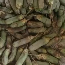 水果萝卜