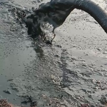 吸粪泵抽粪泵污水泵