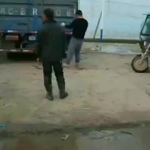需要的请与我联系