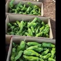 泡椒