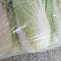 专业黄心大白菜，需要的老板可以从一亩田上和我联系