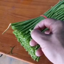 芦蒿，天龙芦蒿种植合作社，质量保证，信誉第一，