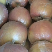 膜袋富士大量有货