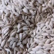 董董产地农副产品经营店，长年批发食用黄瓜子。