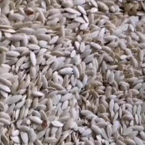 董董产地农副产品经营店，长年批发食用黄瓜子。