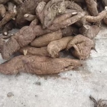 纯野生葛粉