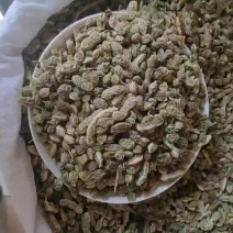 新货槐角选货，颗粒饱满。颜色绿，质量好，支持看货