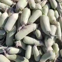 水果萝卜