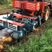 马铃薯播种机。土豆播种机。根茎类播种。。