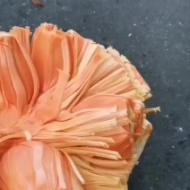 印尼红菠萝蜜