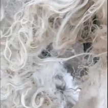 精品山羊毛上出售新疆伊犁山货