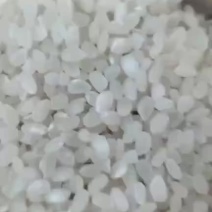 食堂米有做食堂的可以联系我厂家直销