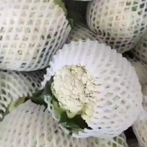 好货好价云南货