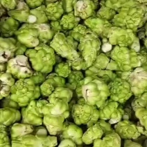 榨菜提前预定，量大从优
