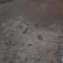 西兰花大量共应需要连系