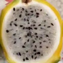 优质厄瓜多尔燕窝果苗，品质好，甜度高。