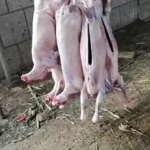 羊腔子扒皮