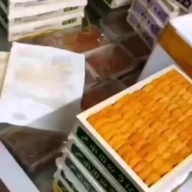 大连马粪胆