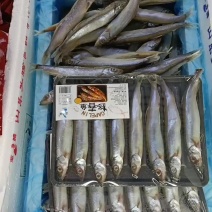 厂家直销单冻多春鱼粒粒饱满营养丰富