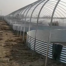 镀锌板帆布鱼池，南美对虾养殖池，免费送鱼马桶